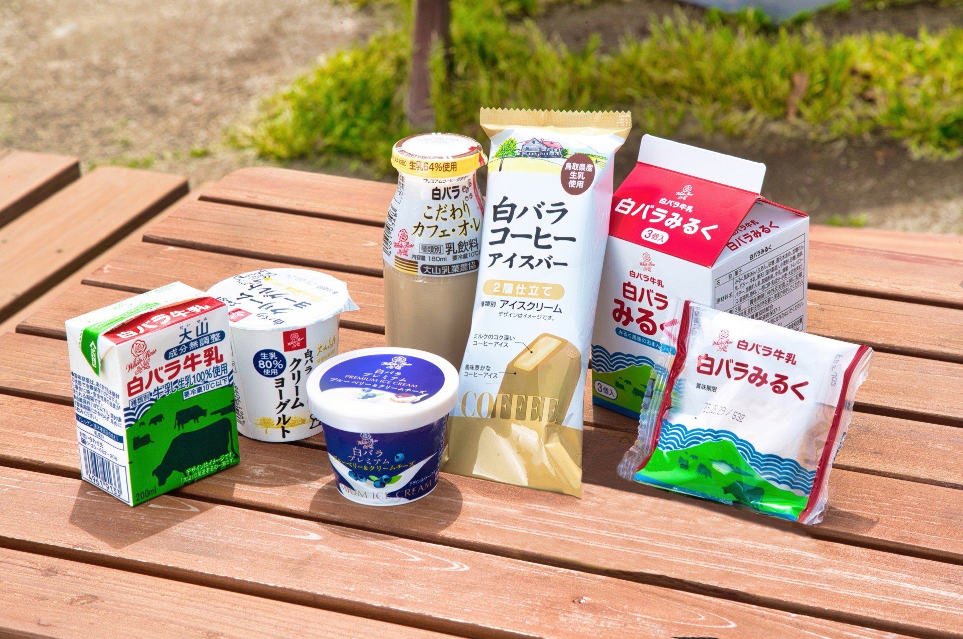 thumbnail_1_白バラ商品A51I0283-1 (旅行読売・酒井撮影）.jpg