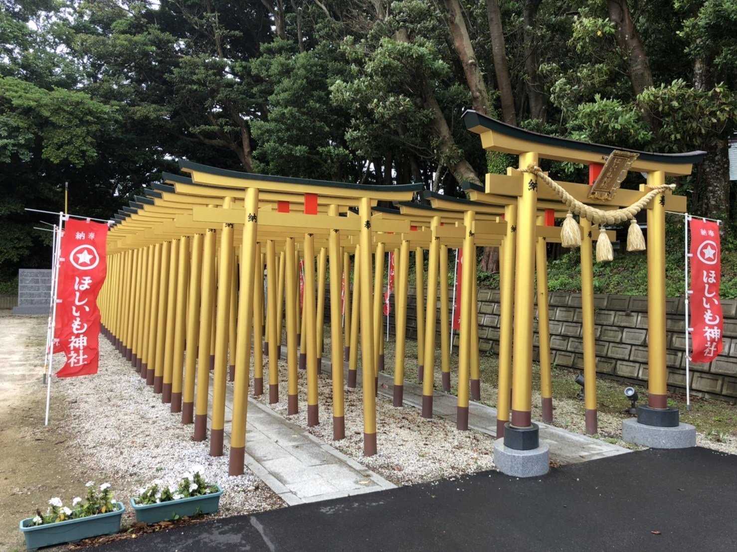 ほしいも神社.jpeg