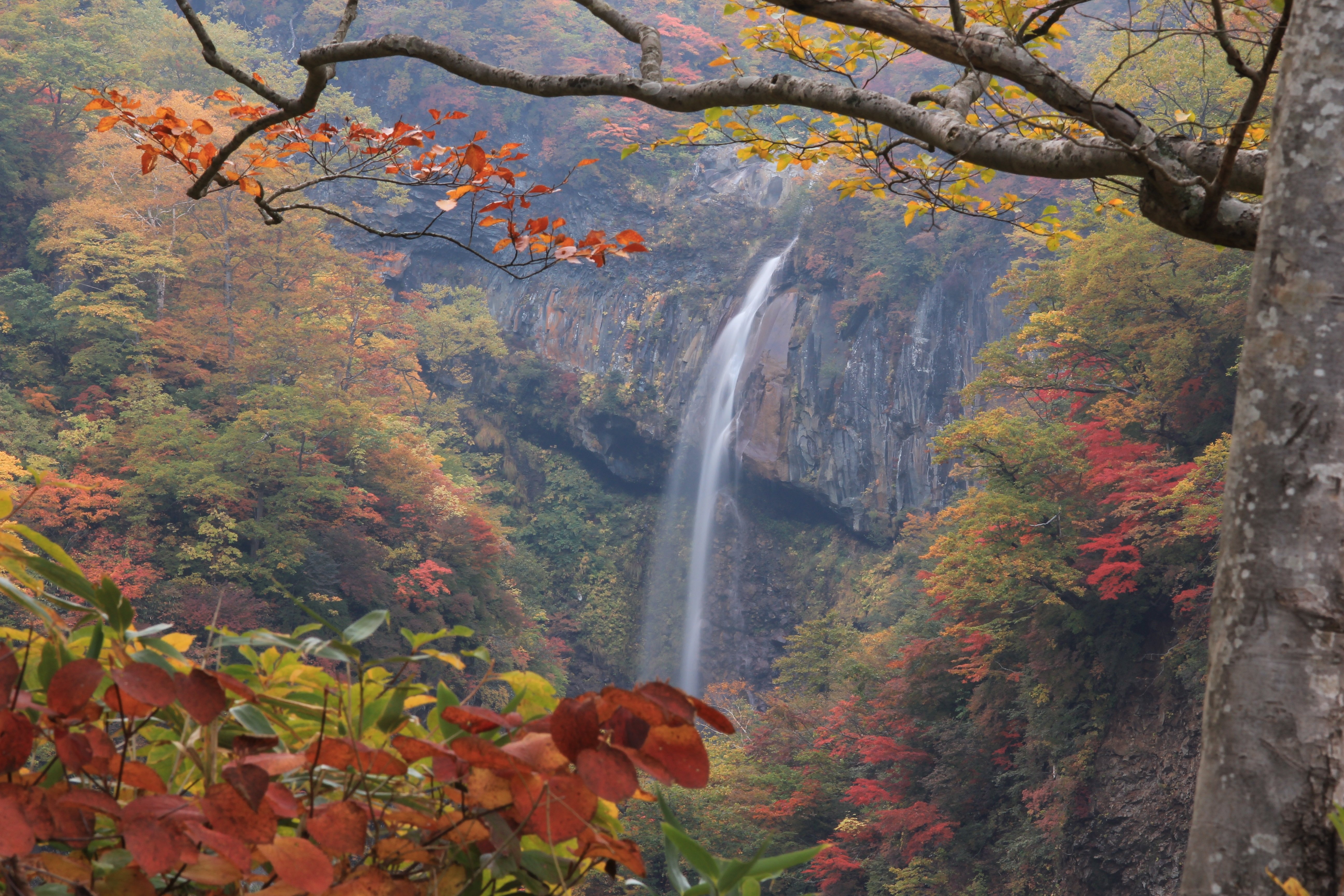 5.秋の惣滝.jpg